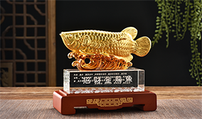 金陵中欧体育